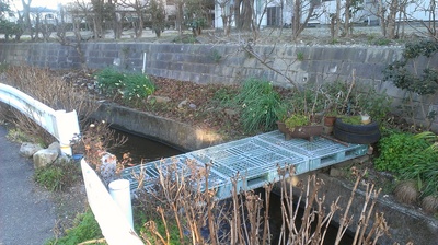 2013-01-28 16.16.49.jpg